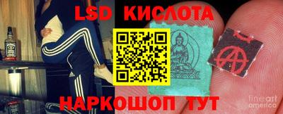 крисы Апшеронск