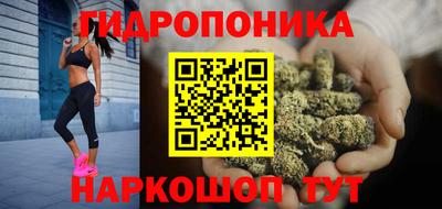 стаф Бийск