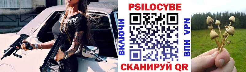 Псилоцибиновые грибы Psilocybe  гидра ONION  darknet наркотические препараты  Владивосток 