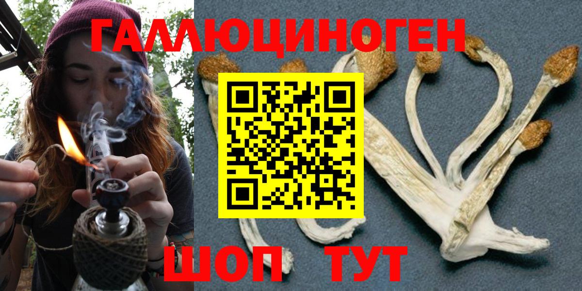 Псилоцибиновые грибы Cubensis Владивосток