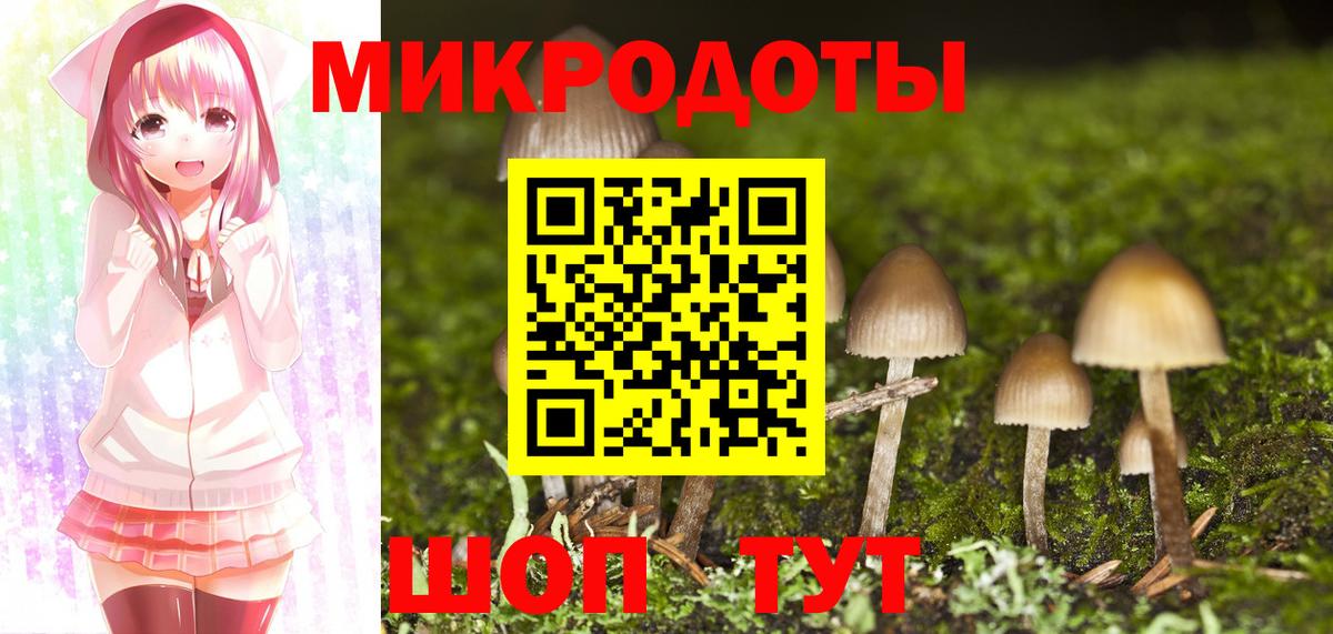 Псилоцибиновые грибы мицелий  Вход с VPN  Владивосток 
