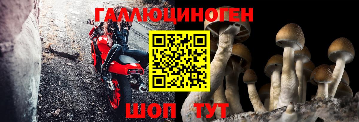 Псилоцибиновые грибы ЛСД  Псилоцибиновые грибы прущие грибы  Владивосток 